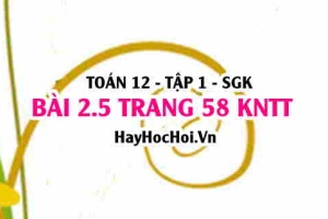 Bài 2.5 trang 58 Toán 12 tập 1 Kết nối tri thức